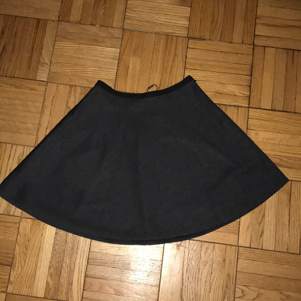 NWT Tahari skirt